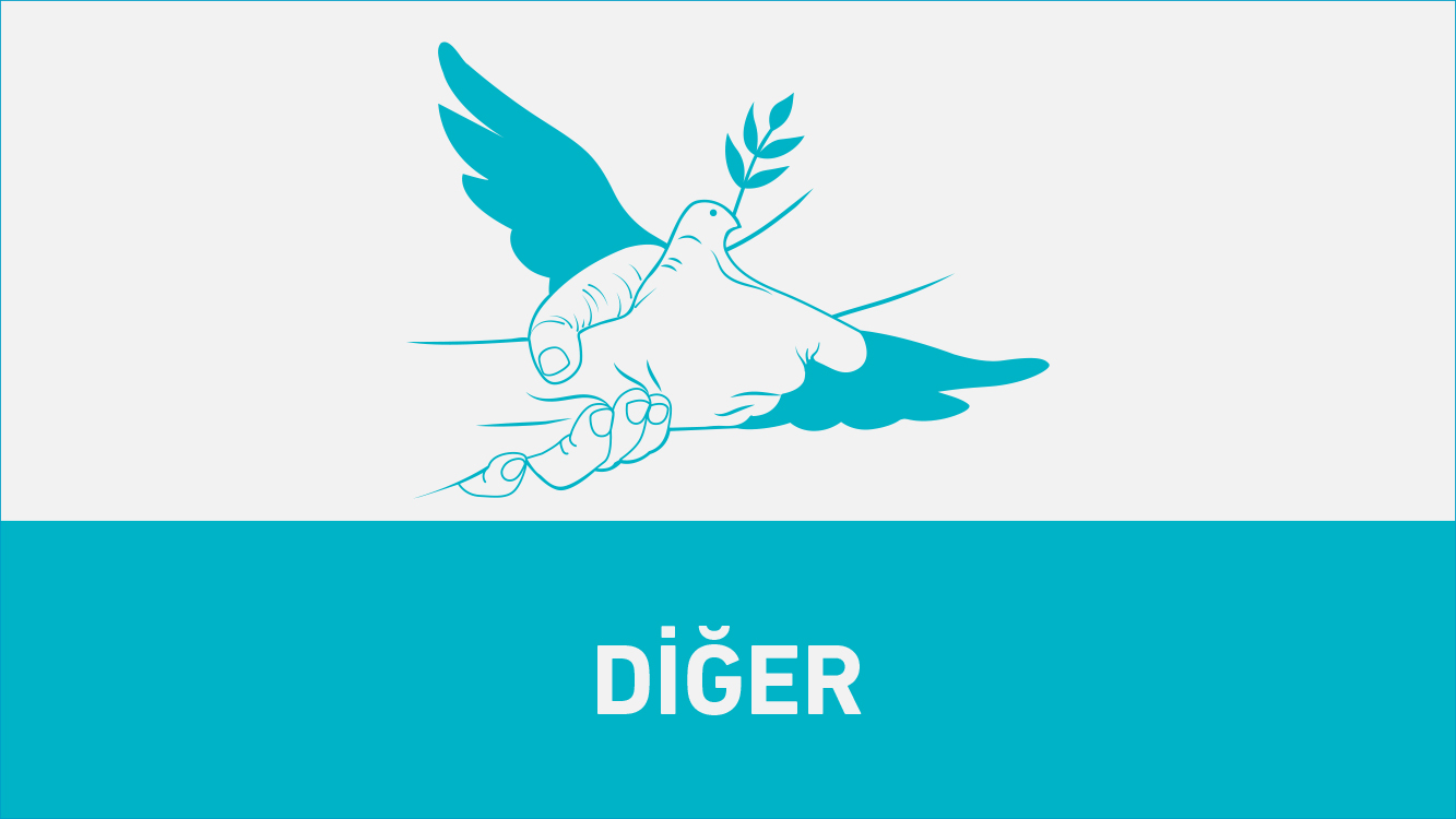 Diğer